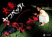 「太秦ヤコペッティ」ビジュアル