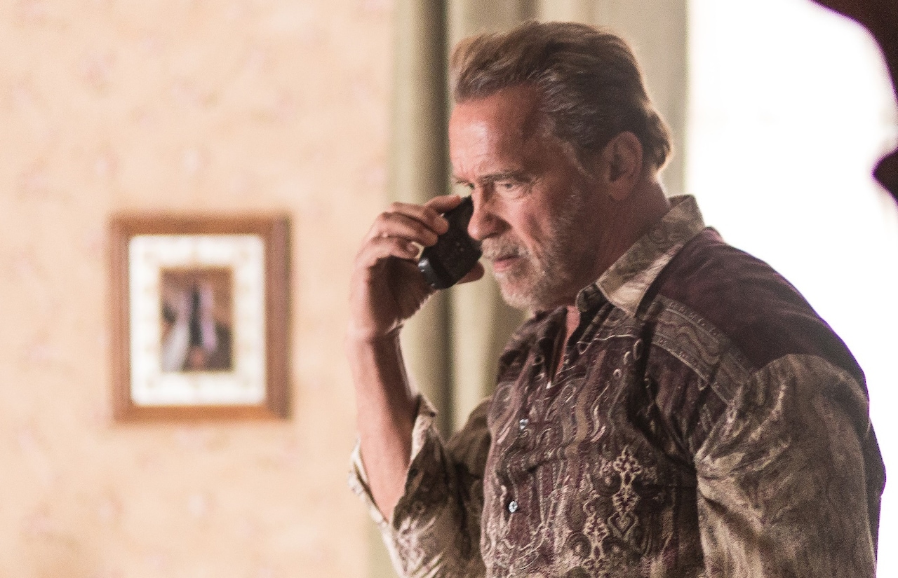 シュワルツェネッガーが飛行機事故で妻子亡くした男を演じる「アフターマス」公開