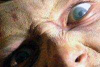 「ダイアリー・オブ・ザ・デッド」 (c)2007 George A. Romero's Diary of the Dead, LLC. All Rights Reserved.