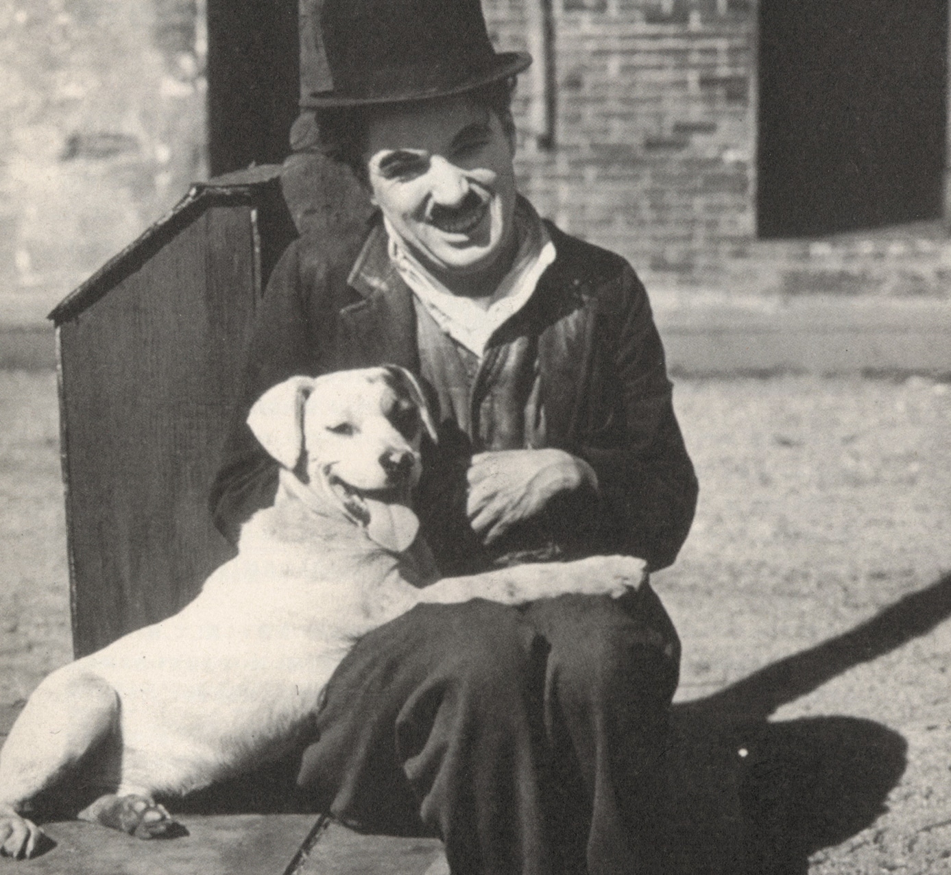 「犬の生活」
