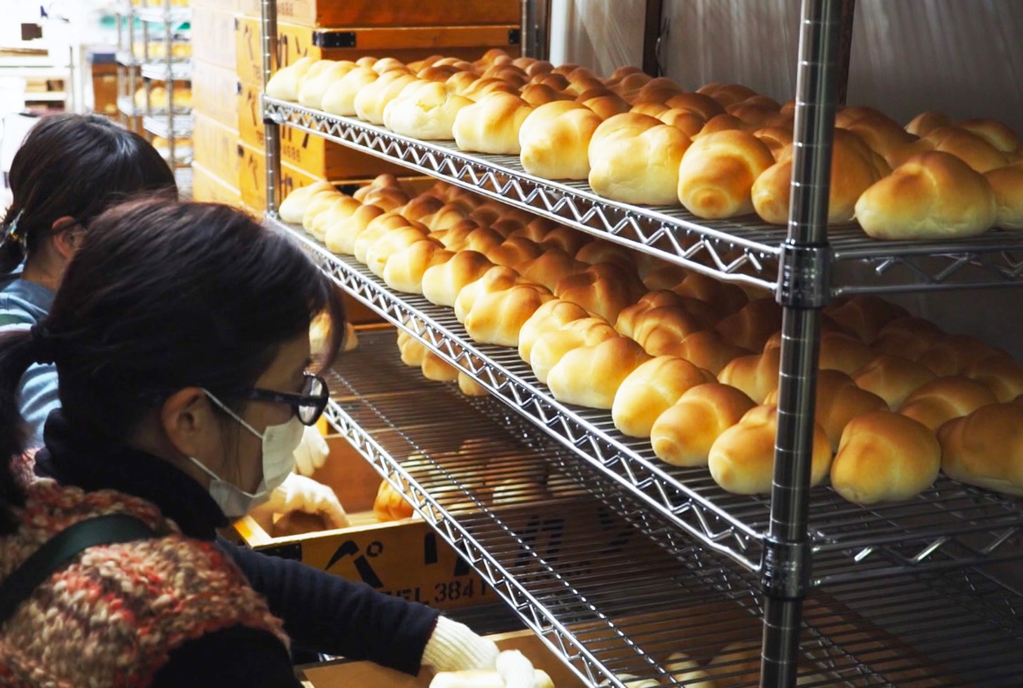 「74歳のペリカンはパンを売る。」
