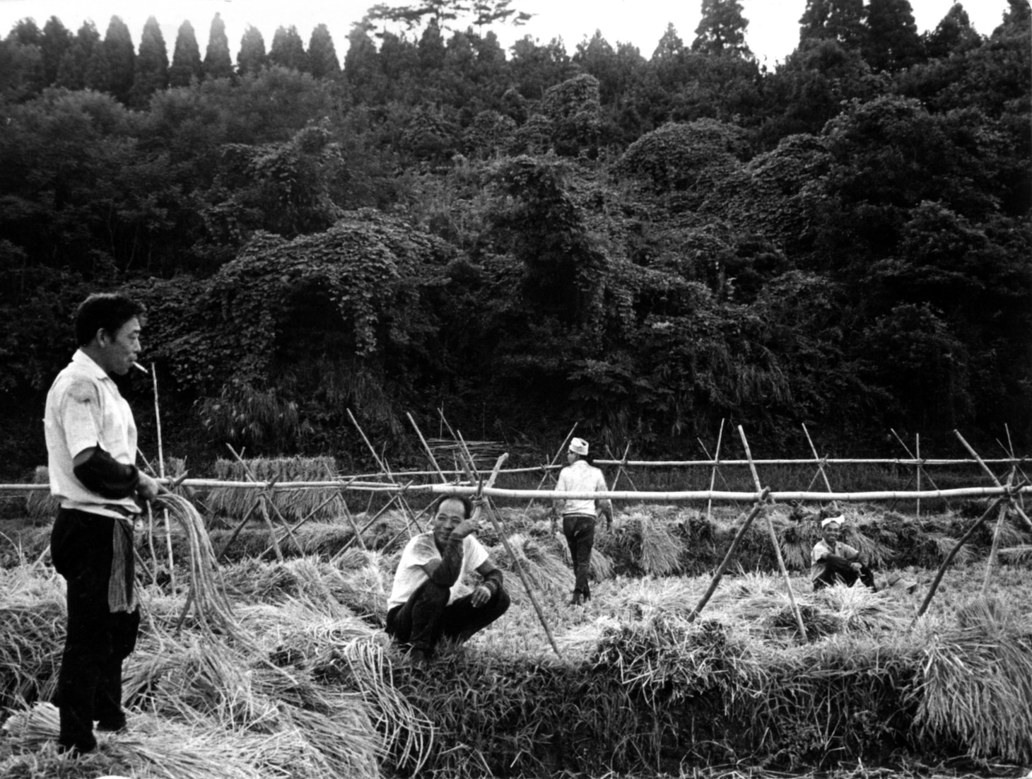「三里塚 辺田部落」