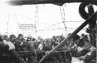 「日本解放戦線 三里塚」