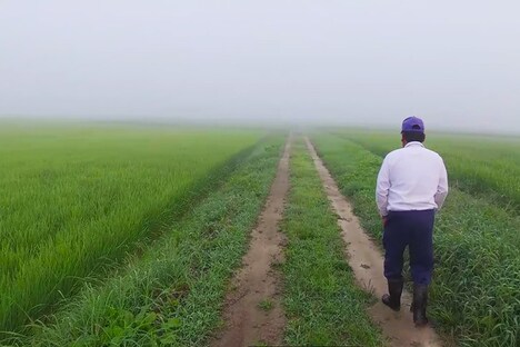 「一陽来復 Life Goes On」