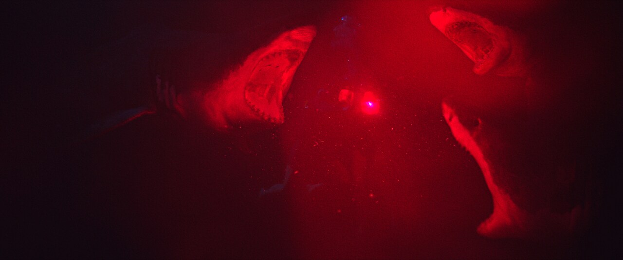 赤く照らされたサメが姉妹に襲いかかる「海底47ｍ」本編映像