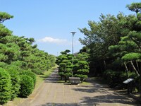 神奈川県立城ヶ島公園