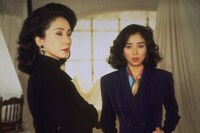 「新・極道の妻たち 惚れたら地獄」