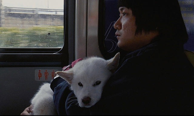 「ムサン日記～白い犬」 (c)2010 SECONDWIND FILM. All rights reserved.