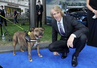 マイケル・ベイ（右）と劇中に登場する犬のフレイヤ（左）。