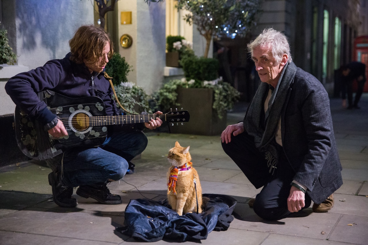 映画　ボブという名の猫　公式写真集　WE LOVE  ボブ！　絶版　入手困難 Amazon.co.jp: 映画 ボブという名の猫 公式写真集『WE LOVE ボブ