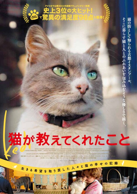 「猫が教えてくれたこと」ポスタービジュアル