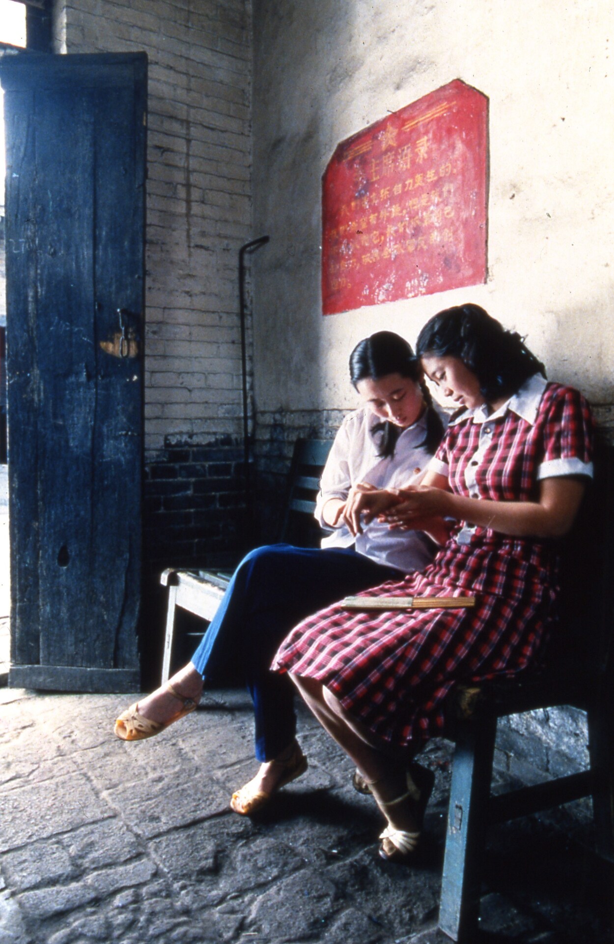 あえてフィルムで映画鑑賞、「悲情城市」「プラットホーム」日替わり上映