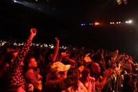 エミール・クストリッツァ＆ノー・スモーキング・オーケストラの来日公演の様子。