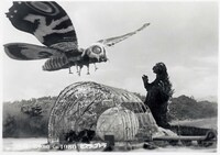 「モスラ対ゴジラ」 (c)1964 TOHO CO.,LTD.