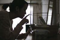「籠の中」 (c)「全力映画」製作委員会