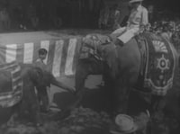 「奇跡のゾウ ゾウのはな子が星になった（仮題）」