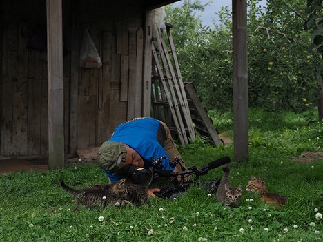 「劇場版 岩合光昭の世界ネコ歩き コトラ家族と世界のいいコたち」新写真 (c)Iwago Photographic Office