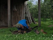 「劇場版 岩合光昭の世界ネコ歩き コトラ家族と世界のいいコたち」 (c)Iwago Photographic Office