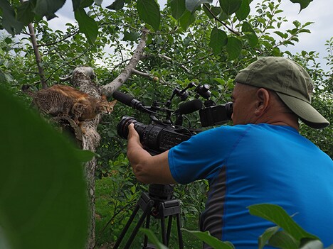 「劇場版 岩合光昭の世界ネコ歩き コトラ家族と世界のいいコたち」新写真 (c)Iwago Photographic Office