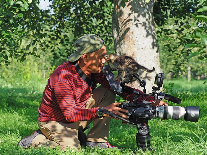 「世界ネコ歩き」コトラ家族の新カット到着、岩合光昭「子ネコたちもかわいい盛り」