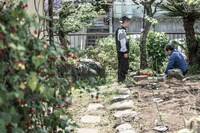 「枝葉のこと」