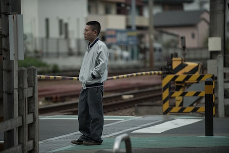 「枝葉のこと」