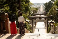 「巫女っちゃけん。」