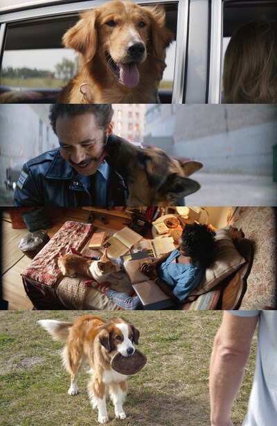 「僕のワンダフル・ライフ」