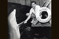 「ドルフィン・マン」 (c)Mayol family archive