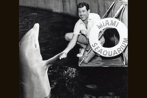 「ドルフィン・マン」 (c)Mayol family archive