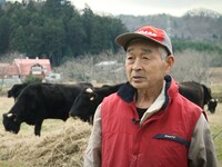 「被ばく牛と生きる」