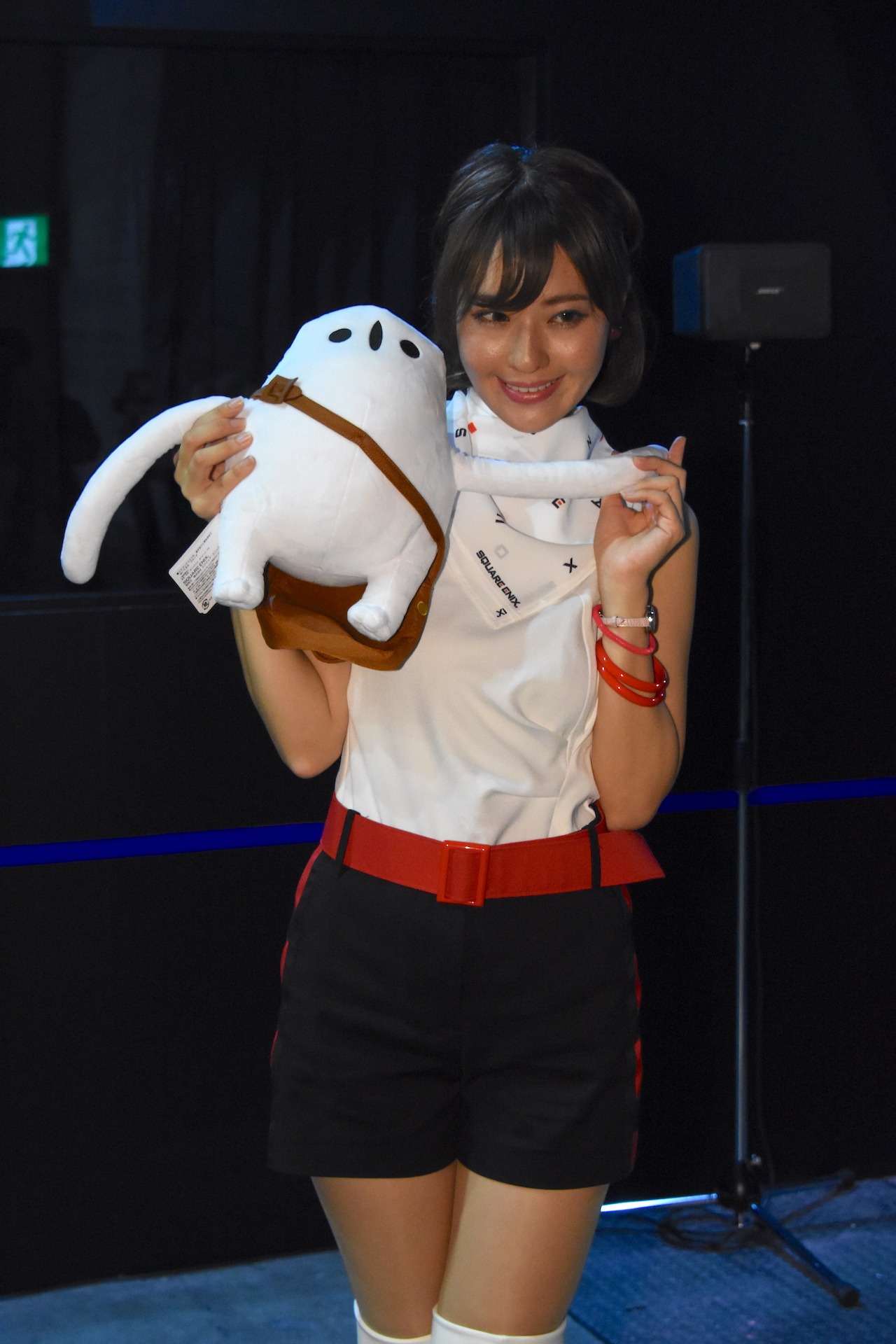 「東京ゲームショウ2017」の様子。