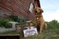 「僕のワンダフル・ライフ」メイキング写真