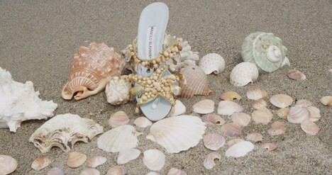 「マノロ・ブラニク トカゲに靴を作った少年」新場面写真