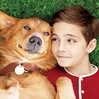 犬は人を幸せにする!「僕のワンダフル・ライフ」の監督&キャストが語る