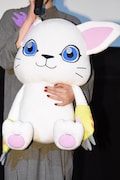 テイルモン