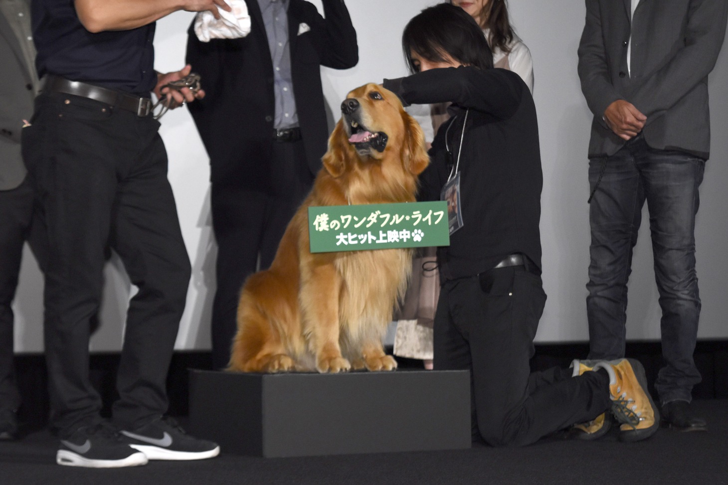 ゼウス