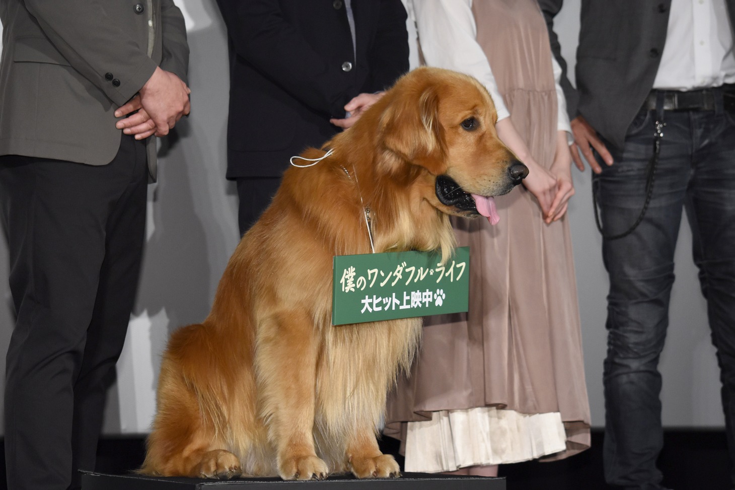 ゼウス