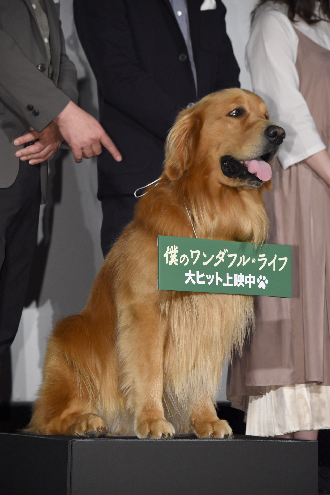 ゼウス