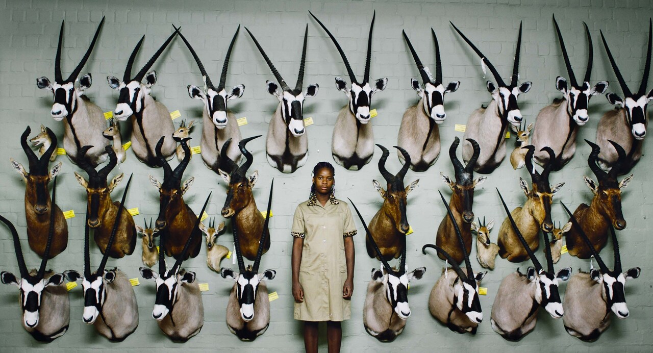 動物を合法的に殺すトロフィーハンティングの実態に迫る、U・ザイドル監督作公開