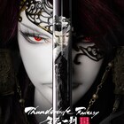 虚淵玄「Thunderbolt Fantasy」第1期と第2期をつなぐ作品が上映