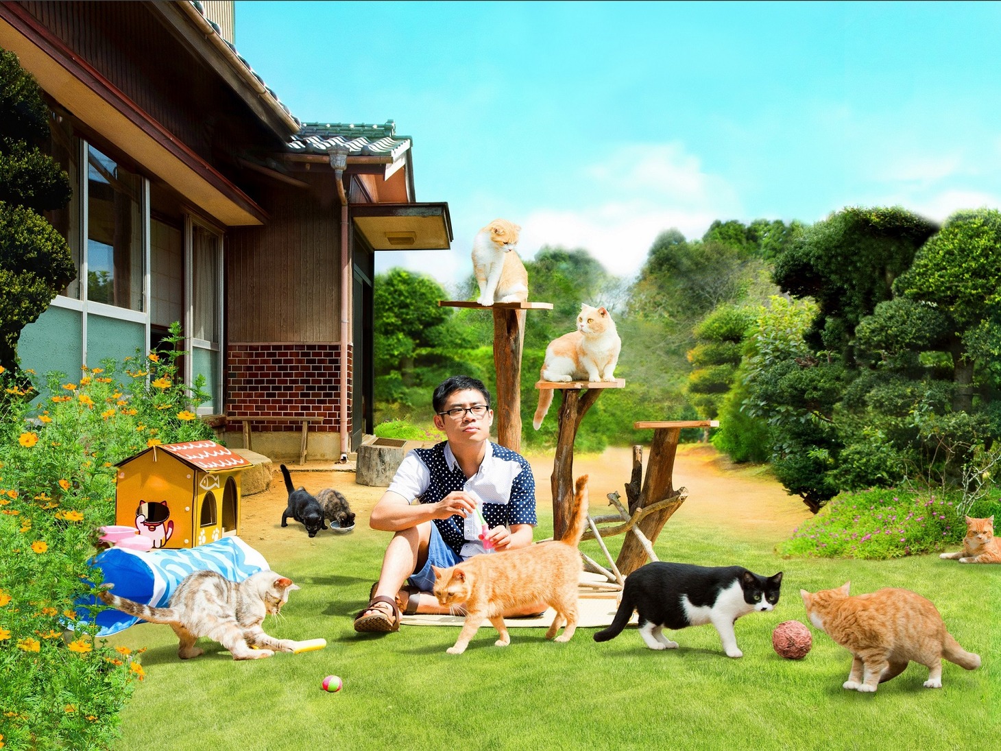 「ねこあつめの家」 (c)2017 Hit-Point／『映画ねこあつめ』製作委員会