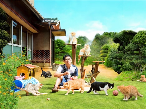 「ねこあつめの家」 (c)2017 Hit-Point/『映画ねこあつめ』製作委員会