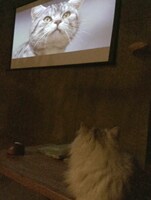 過去のイベントの様子。