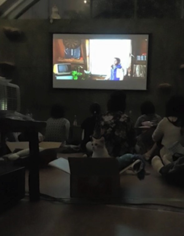 過去のイベントの様子。