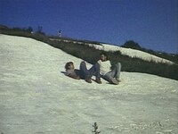 「イッツ・インポッシブル・トゥ・ラーン・トゥ・プラウ・バイ・リーディングブックス」