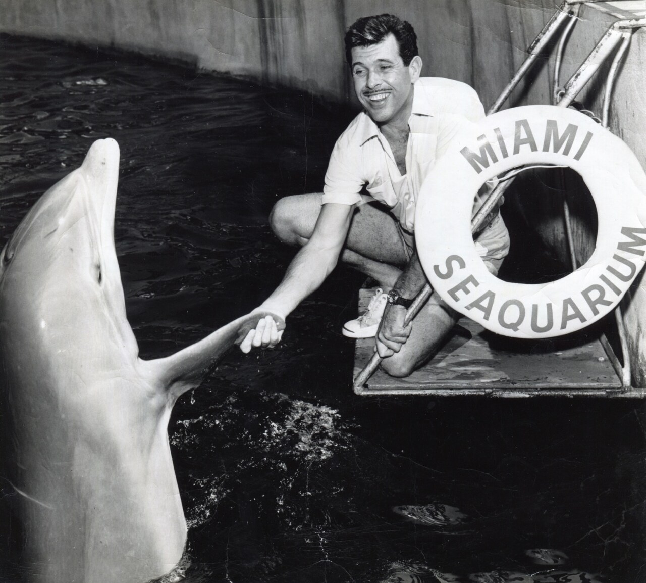 「ドルフィン・マン～ジャック・マイヨール、蒼く深い海へ」