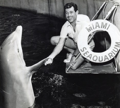 「ドルフィン・マン～ジャック・マイヨール、蒼く深い海へ」