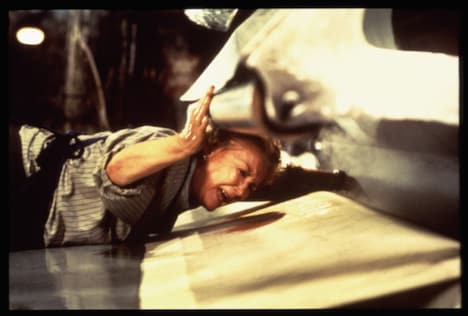 「マングラー」 (c)1994 INVESTEC BANK LIMITED