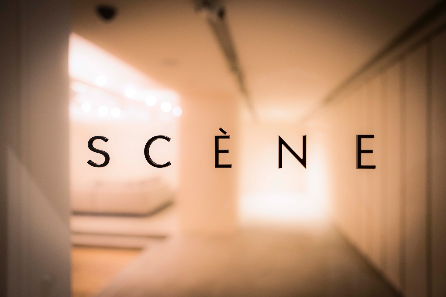 SCENEビジュアル